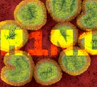 H1N1